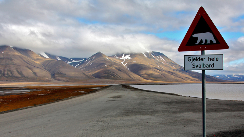 Svalbard 4-8 maj 2023